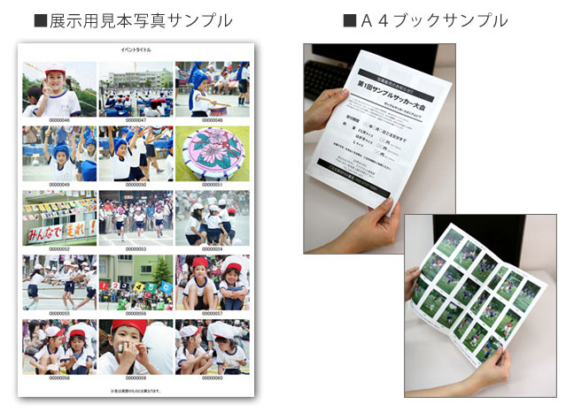 見本写真